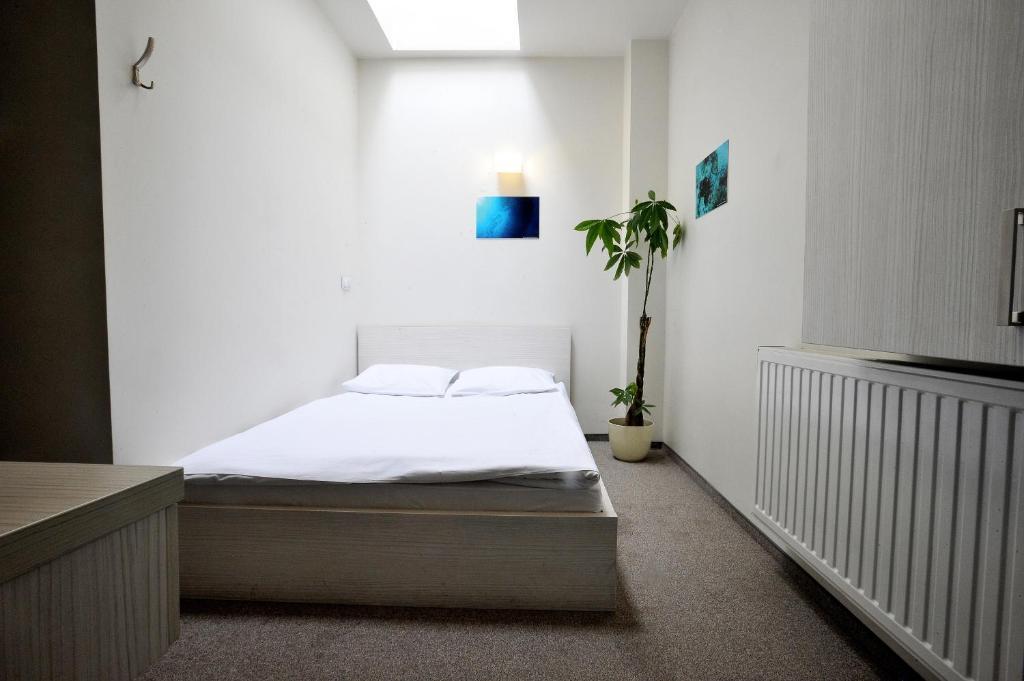 Hostel Promenada Rzeszów Værelse billede